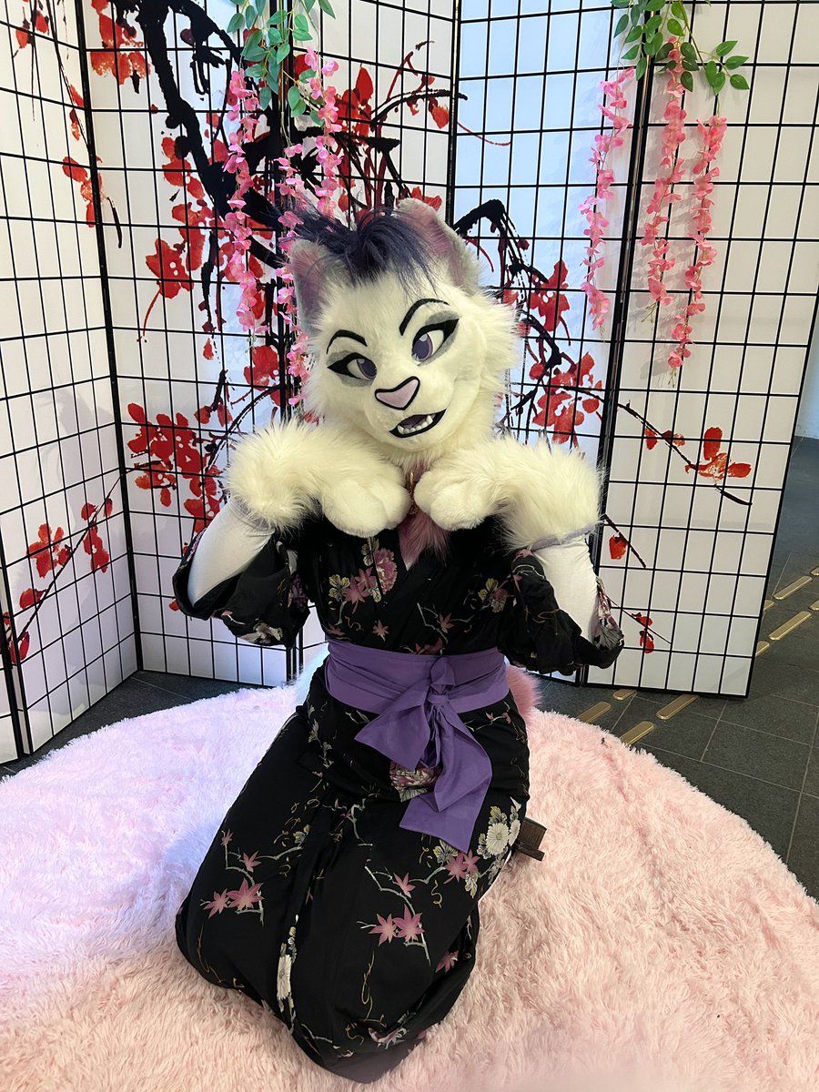 🪻Lavender: Hi welcome to Tea house Shiro Neko, please take a seat over here, can I get you started with a tea? 

NFC’s theme was too good not to break out my Yukata and Geta for! #NFC2025 #nordicfuzzcon2025