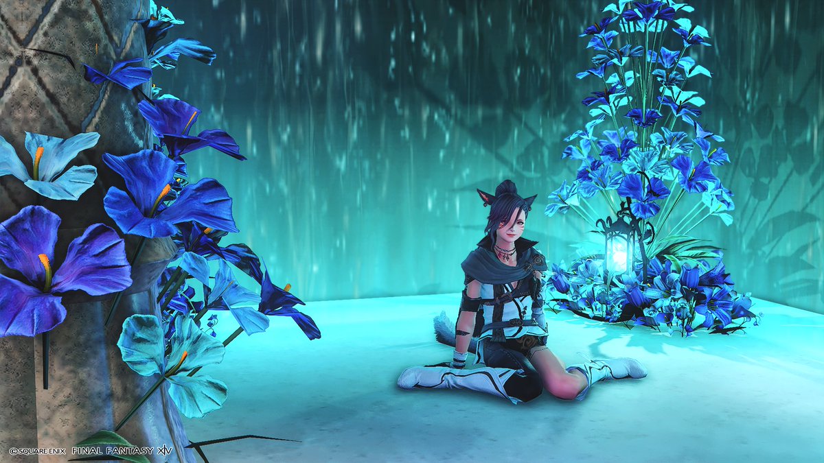 amane134679's tweet photo. スタジオ #SSstudio さん

#ミコッテ
#FF14 https://t.co/hrSSfTiQog