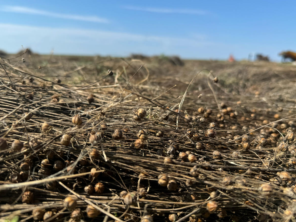 Waddenacademie (@waddenacademie) on Twitter photo Nw in de kalender: Symposium Textiel van de toekomst op 28 maart, georganiseerd door <a href="/SuSoRUG/">Rudolf Agricola School for Sustainable Development</a> in Groningen. #duurzaamheid #regio waddenacademie.nl/kalender/texti… Nw in de kalender: Symposium Textiel van de toekomst op 28 maart, georganiseerd door <a href="/SuSoRUG/">Rudolf Agricola School for Sustainable Development</a> in Groningen. #duurzaamheid #regio waddenacademie.nl/kalender/texti…