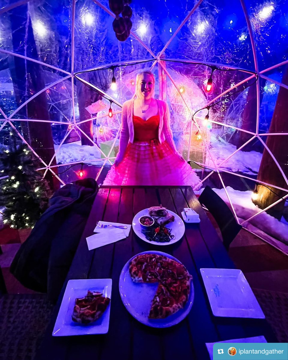 Editor’s Note:  Last day for IGLOOS is Sunday 16 March!

#repost from @iplantandgather
…
Beer Church Brewery @beerchurchbrew 

One of our fave spots to go when we’re in New Buffalo! We dined in our own little igloo and enjoyed some pizza and drinks.