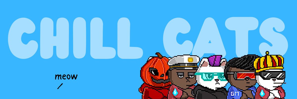 Bullet Bro tweet media