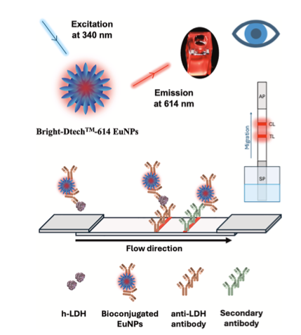 Poly-Dtech tweet media