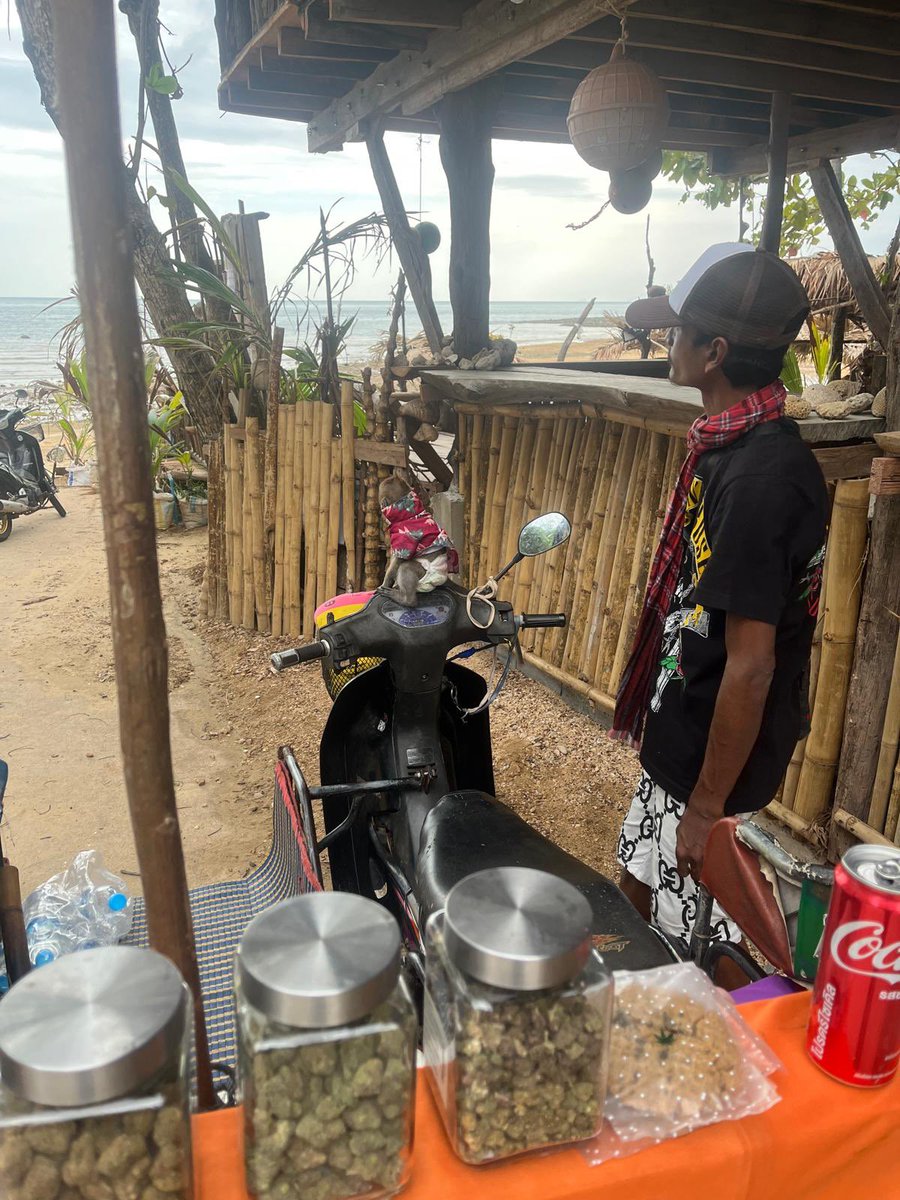It’s official now I have seen everything
Monkey selling weed in Thailand ✅