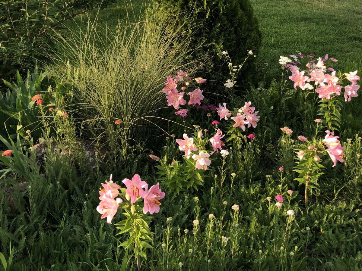 ᅠ ᅠ tweet media