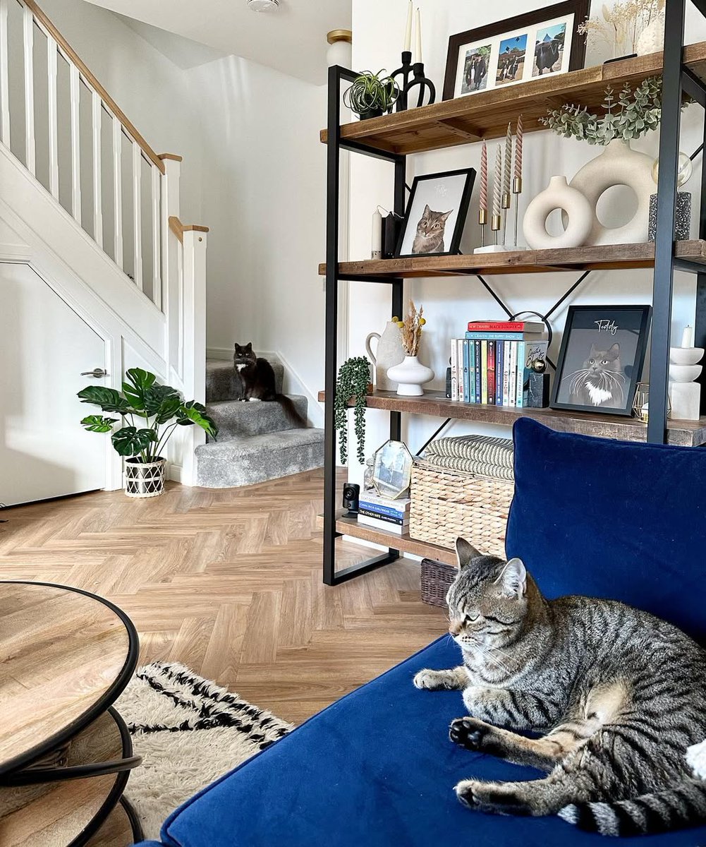 Did you know February is National Pet Month? 🐶🐱 Keep your furry friends safe and sound with our pet-friendly Motion Sensors. They'll detect intruders, not your playful pets.

📸 @happydognorman, @tailorhome_39, @ourlondonlittlelife
