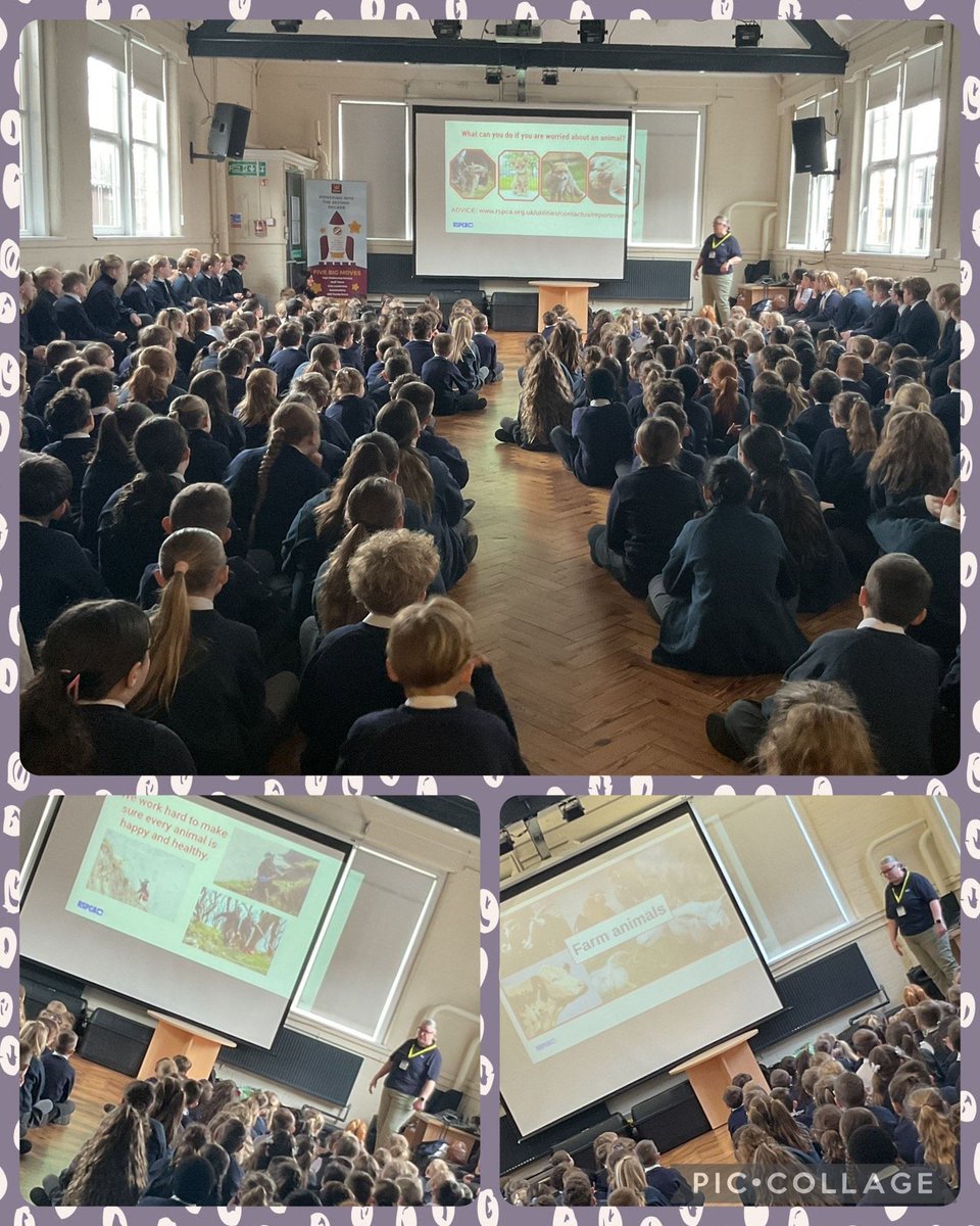 Milton Primary Academy tweet media