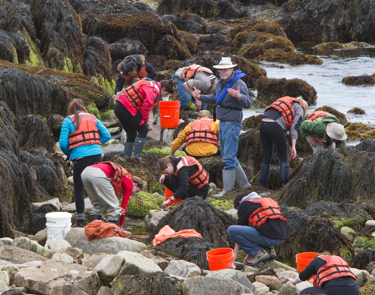 Exploring marine diversity on the rocks