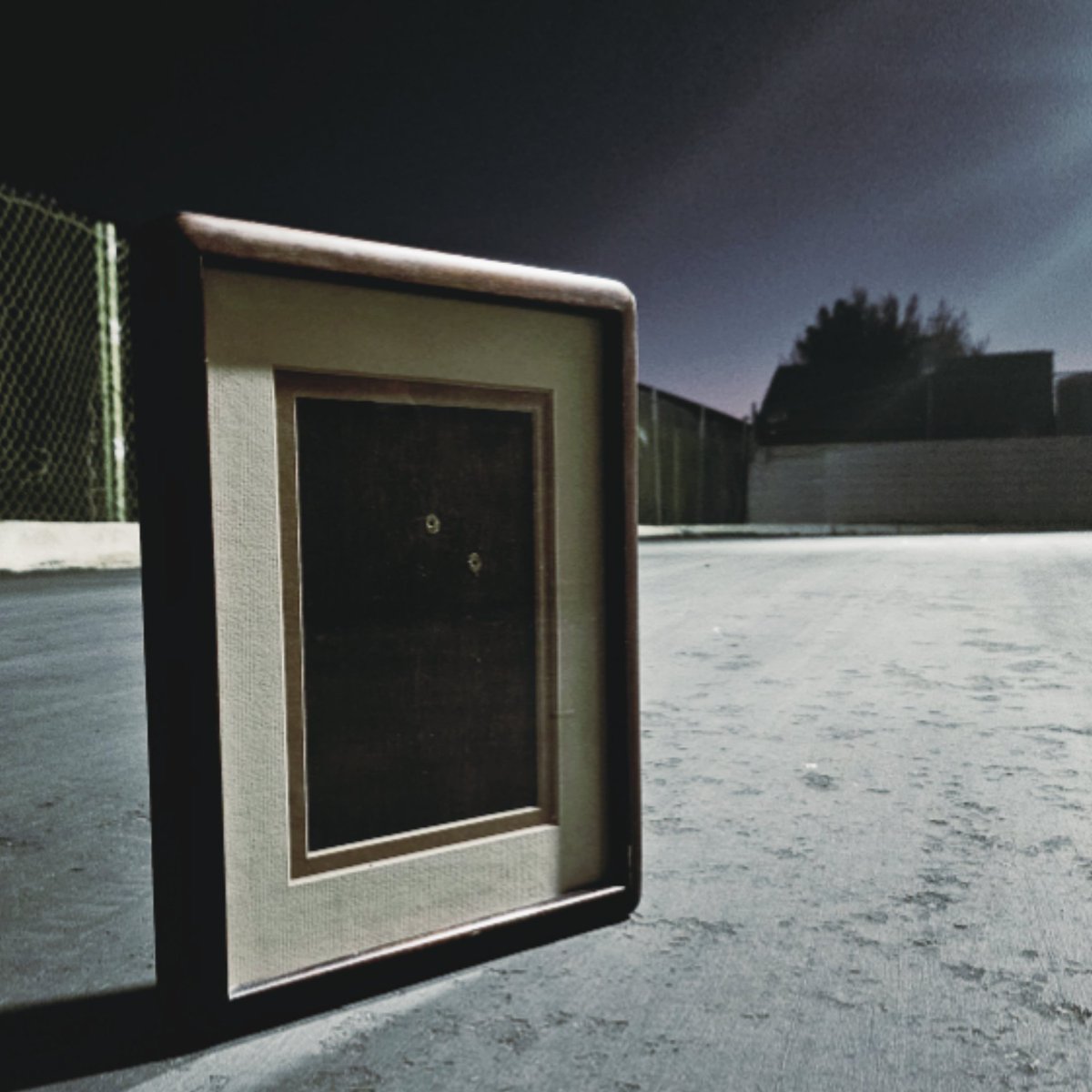 ₍ᐢᐢ₎ tweet media