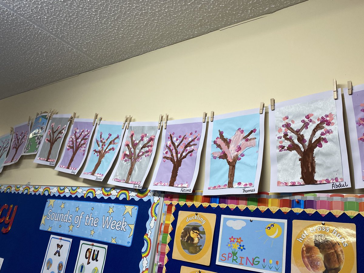 Junior Infants St Attracta's N.S. tweet media