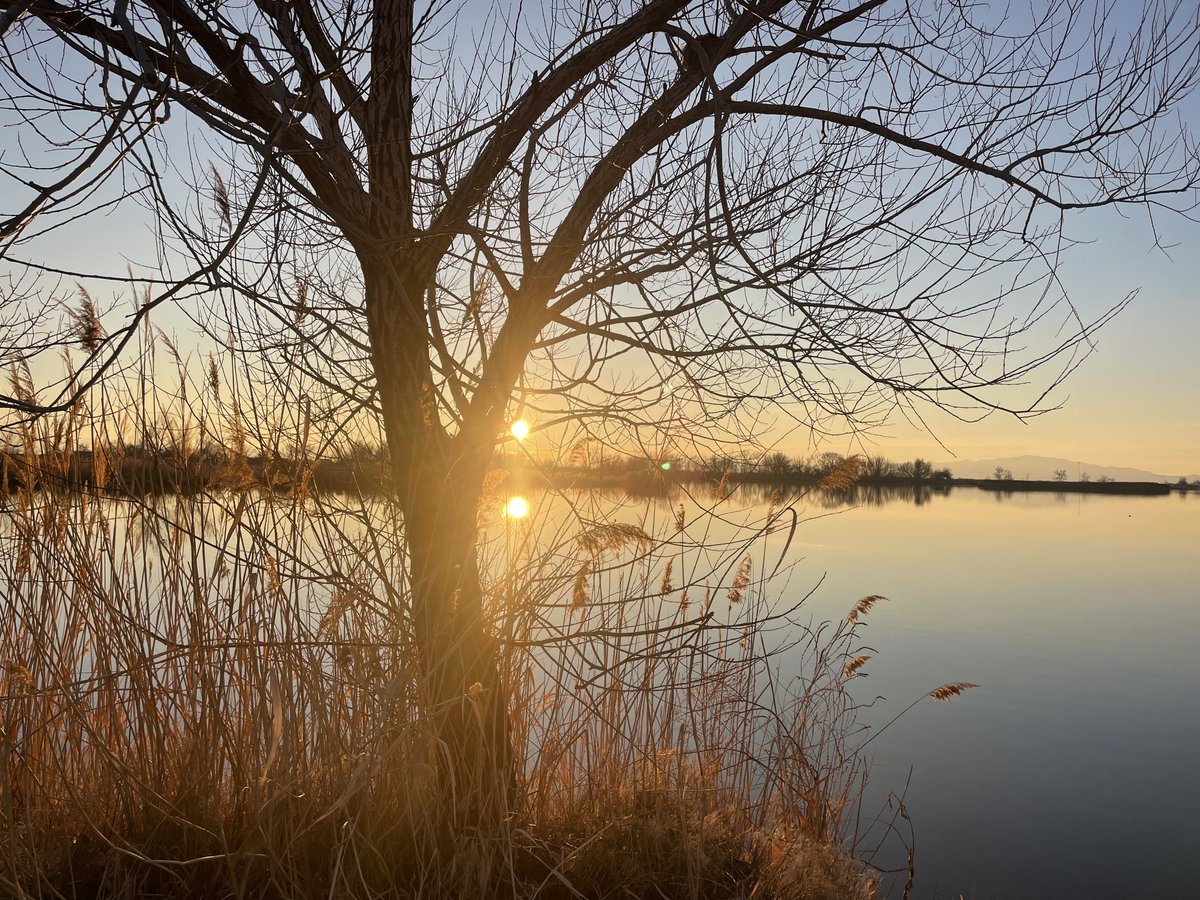 sorry for not hugging you tighter, i thought i'd see you again