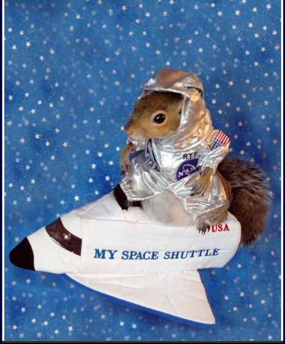 mrcontextusa's tweet photo. 🚨🥜LARGE $SUGR BUY ALERT!🥜🚨

Someone has Diamond Nutz 💎🥜 and bought 2.73M $SUGR 🐿 for ₳3.00K

      https://t.co/w0Zo734EPU https://t.co/LThHFRvdQg