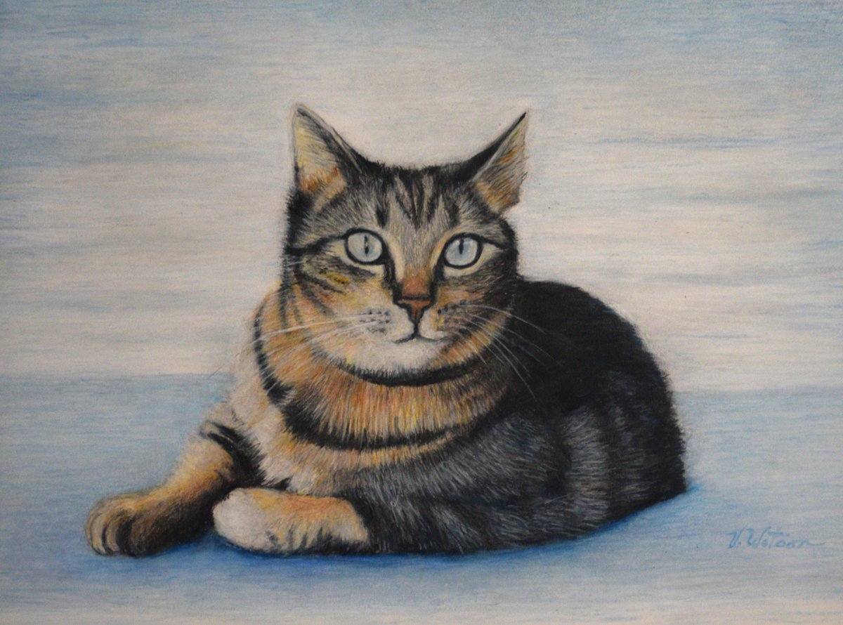 artistvictoria5's tweet photo. Finally finished Lu LUs #portrait.. This #handrendered  #Drawing is in Color pencil on artboard.. #art  #petportrait #cat #tabby https://t.co/HIWkxezh1r
