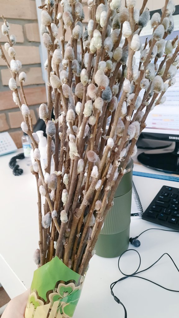 Котики від противного котика <a href="/UchihenkoM/">Мадара Учіхенко</a>