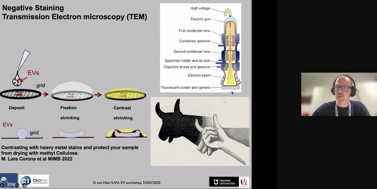 UVA_EV course (@uva_evcourse) on Twitter photo Grateful to Dr. van Niel <a href="/guillaume_niel/">Guillaume van Niel</a> for joining us live despite his busy schedule running the #EMBO Practical Course, Extracellular Vesicles: From Biology to Biomedical Applications, in Heidelberg! #UVAEVcourse2025 #ElectronMicroscopy <a href="/French_Soc_EVs/">FrenchSocEVs</a> Grateful to Dr. van Niel <a href="/guillaume_niel/">Guillaume van Niel</a> for joining us live despite his busy schedule running the #EMBO Practical Course, Extracellular Vesicles: From Biology to Biomedical Applications, in Heidelberg! #UVAEVcourse2025 #ElectronMicroscopy <a href="/French_Soc_EVs/">FrenchSocEVs</a>