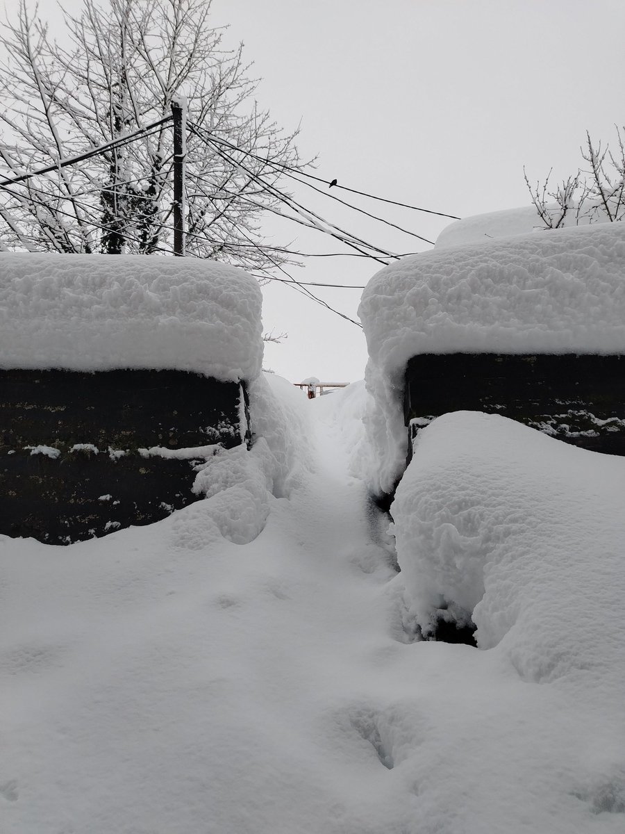 OCMediaorg's tweet photo. In Georgia’s western regions, heavy snowfall on Monday has led to a public emergency, with numerous villages cut off, building collapses, and reports of at least three weather-related deaths

Read more: https://t.co/W741UmVgwF https://t.co/8g3cmjUzLN
