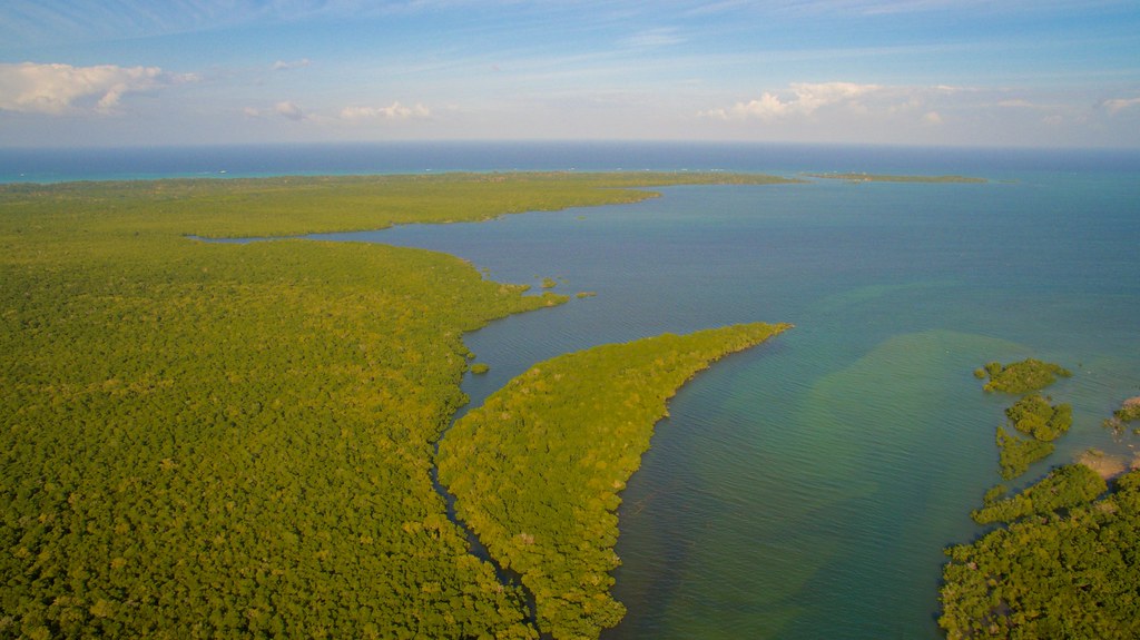 🌊💙 “We see projects in the Global North getting $500 per tonne, while in Kenya, Benin &amp; Indonesia, it’s just $20. Are we saying our work is worth less?”

Carbon is carbon. Fair pricing &amp; transparency for all

🔗 Read more: url.grida.no/43bGVC9

#BlueCarbon #CarbonMarkets