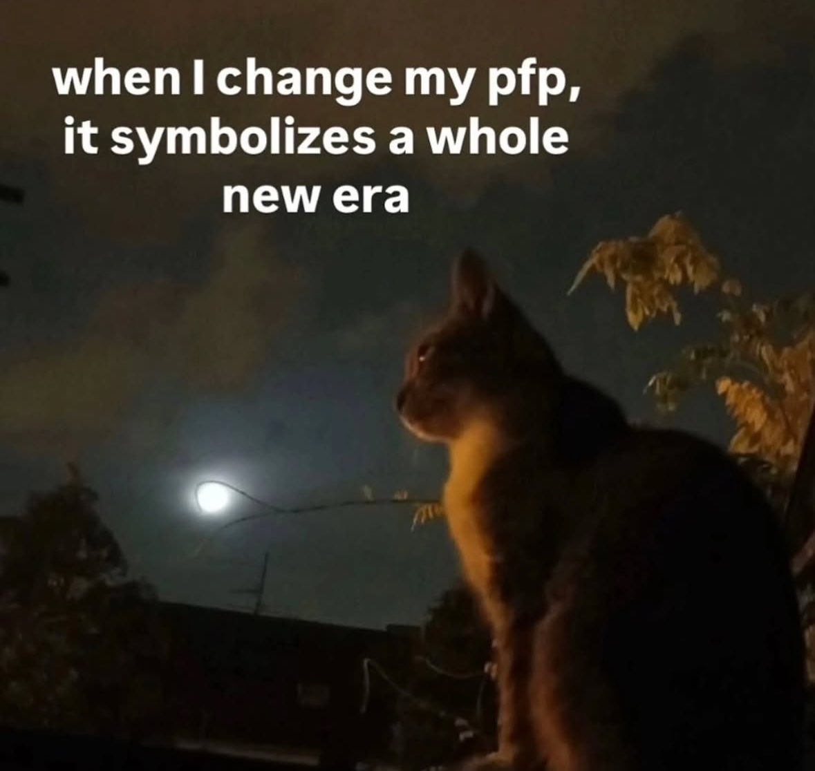 literallymecats's tweet photo. https://t.co/acnsCZg1FV