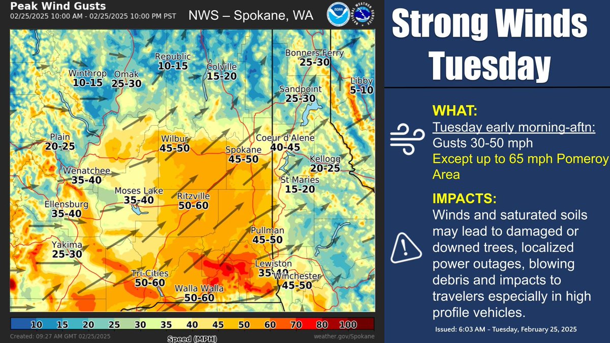 NWSSpokane's tweet image. Going to be a windy one today. Hold onto your hats. Soggy soils + winds may lead to downed trees and localized power outages. #wawx #idwx