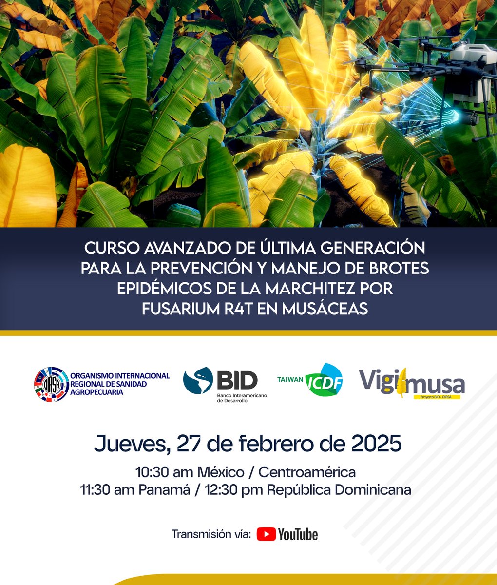 Invitan al lanzamiento💻 del Curso Avanzado para la prevención y manejo de brotes epidémicos de la marchitez por Fusarium R4T en cultivos de musáceas🍌

🗓️ Jueves, 27 de febrero

⏰ 10:30 a.m. 🇲🇽🇧🇿🇬🇹🇸🇻🇭🇳🇳🇮🇨🇷 
11:30 a.m. 🇵🇦
12:30 m.d. 🇩🇴

Transmisión: bit.ly/CursoFusariumR…
