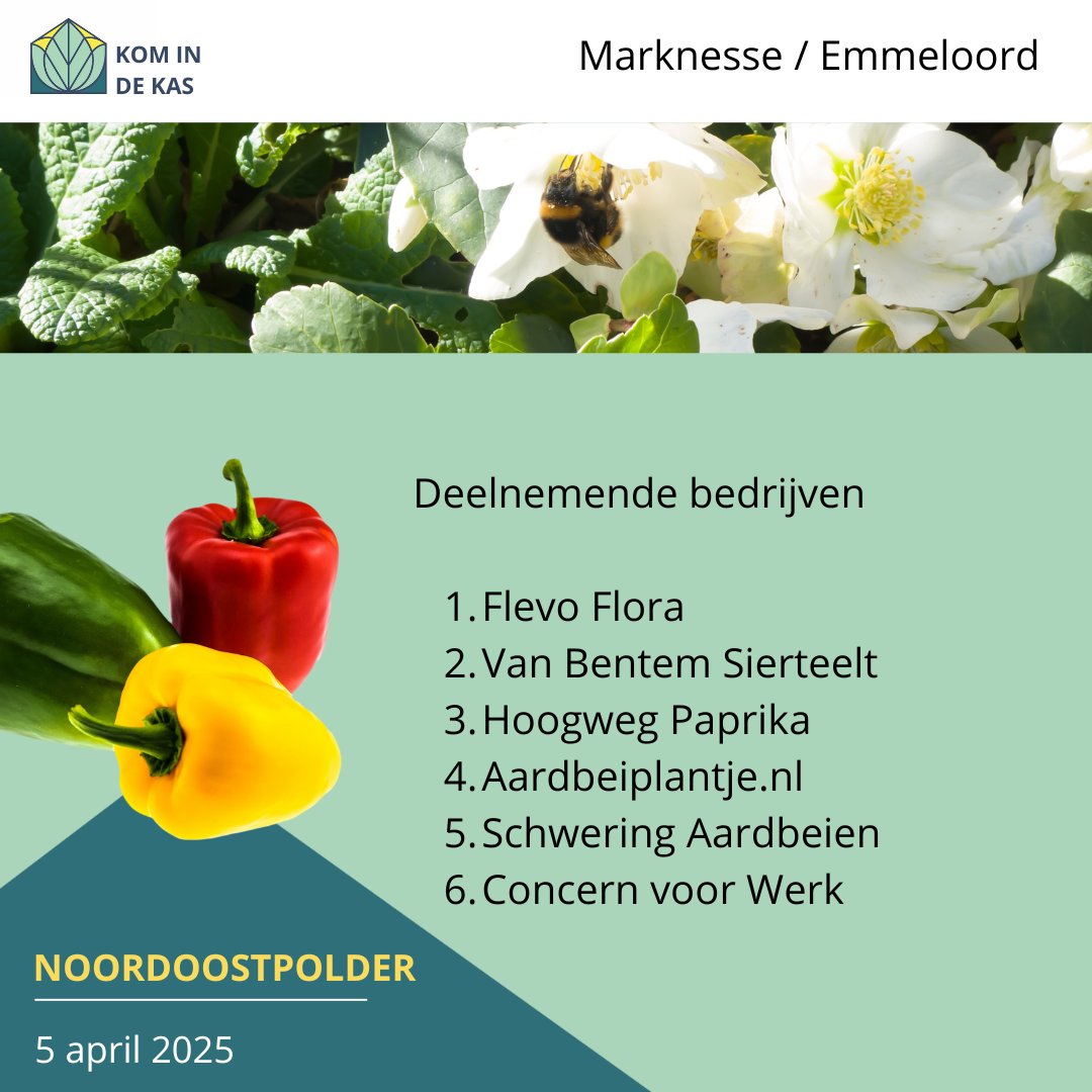 Kom in de Kas Noordoostpolder tweet media