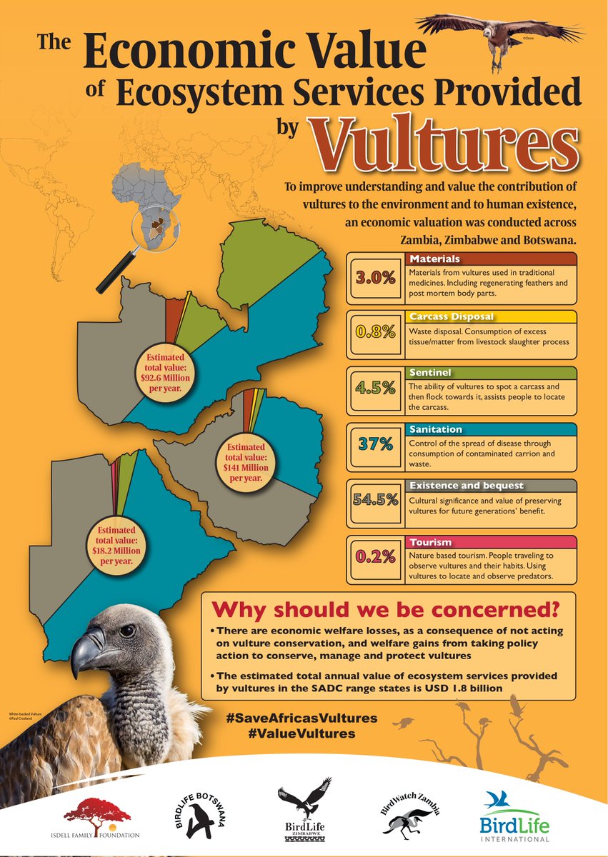 BirdLife Africa tweet media