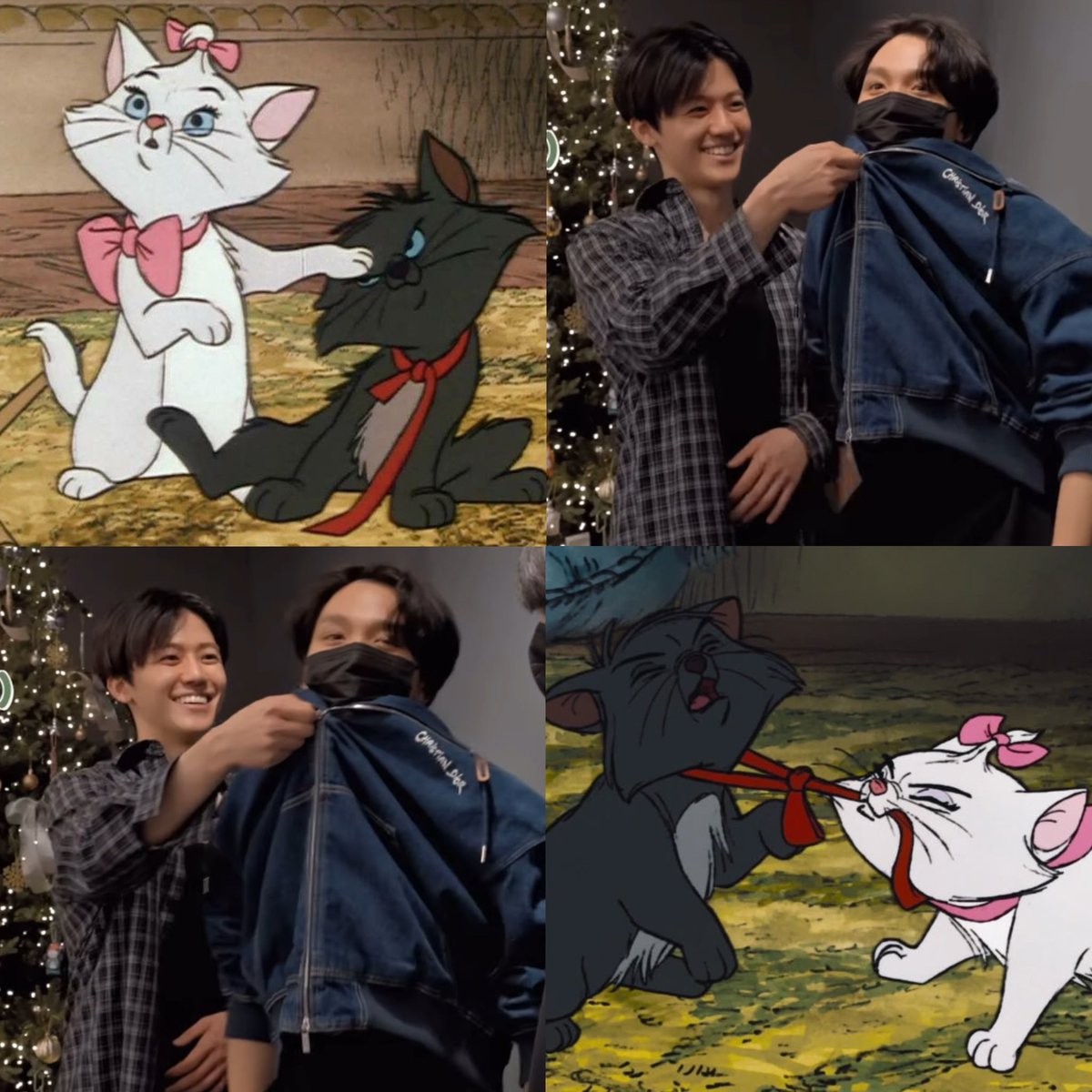 ≽^• ˕ • ྀི≼    ≽^- ˕ -^≼