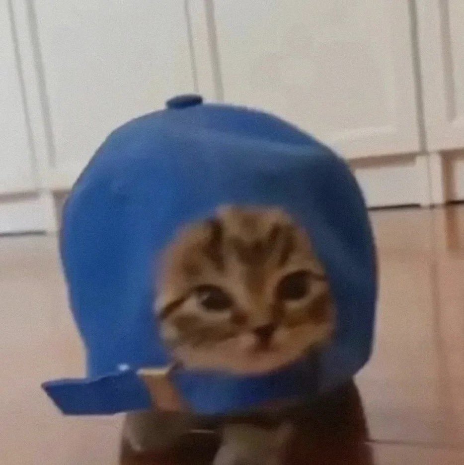 jay as cats ᗢ tweet media