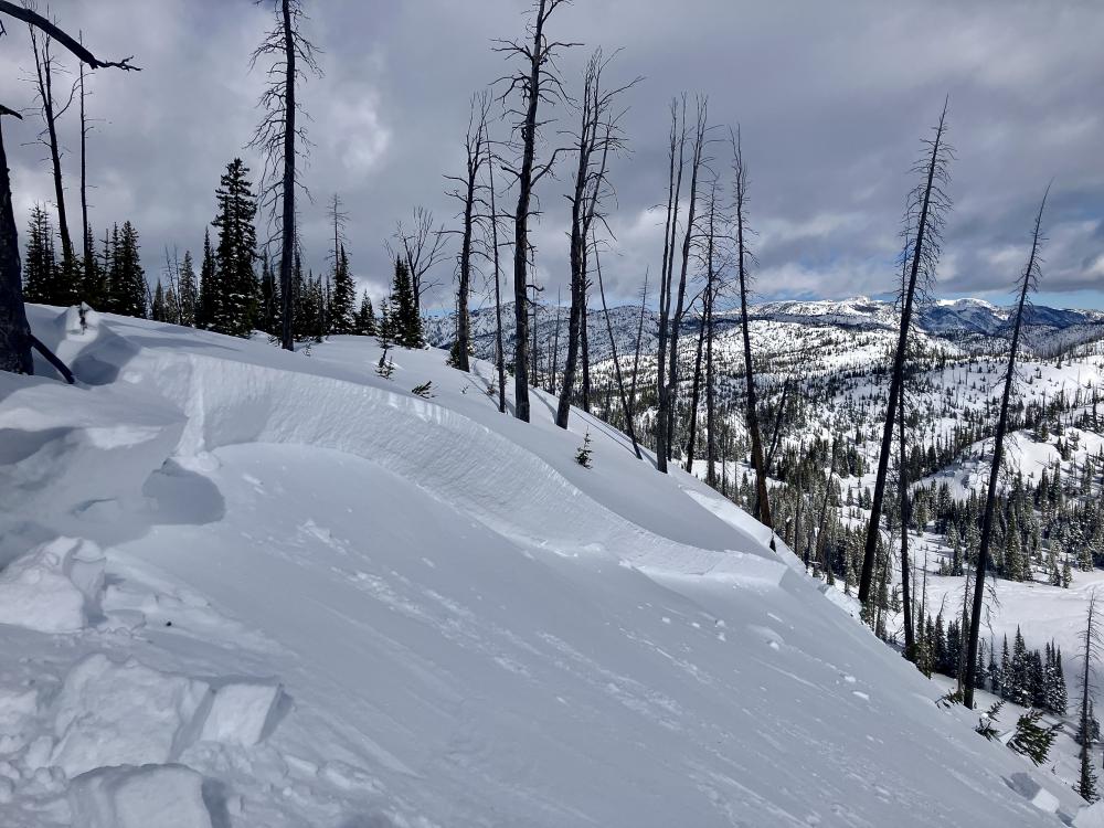 Avalanche forecast 2/25
mtavalanche.com/forecast

In Cooke City, cautious route-finding is essential because human-triggered avalanches are likely, and the danger is CONSIDERABLE.

📸Alex triggered this avalanche yesterday in Cooke City while traveling on flat terrain above. GNFAC