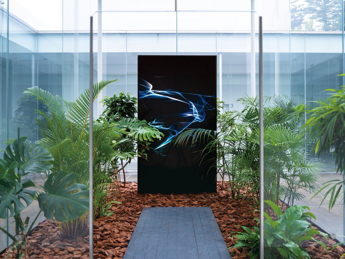 artasiapacific's tweet photo. In “Dancing with All: The Ecology of Empathy” at the 21st Century Museum of Contemporary Art, more than 20 contemporary artists explored new, holistic approaches to seeing the relationship between humans and natural world. Read the full review https://t.co/FUo1seTyHp https://t.co/RXXh993TSD