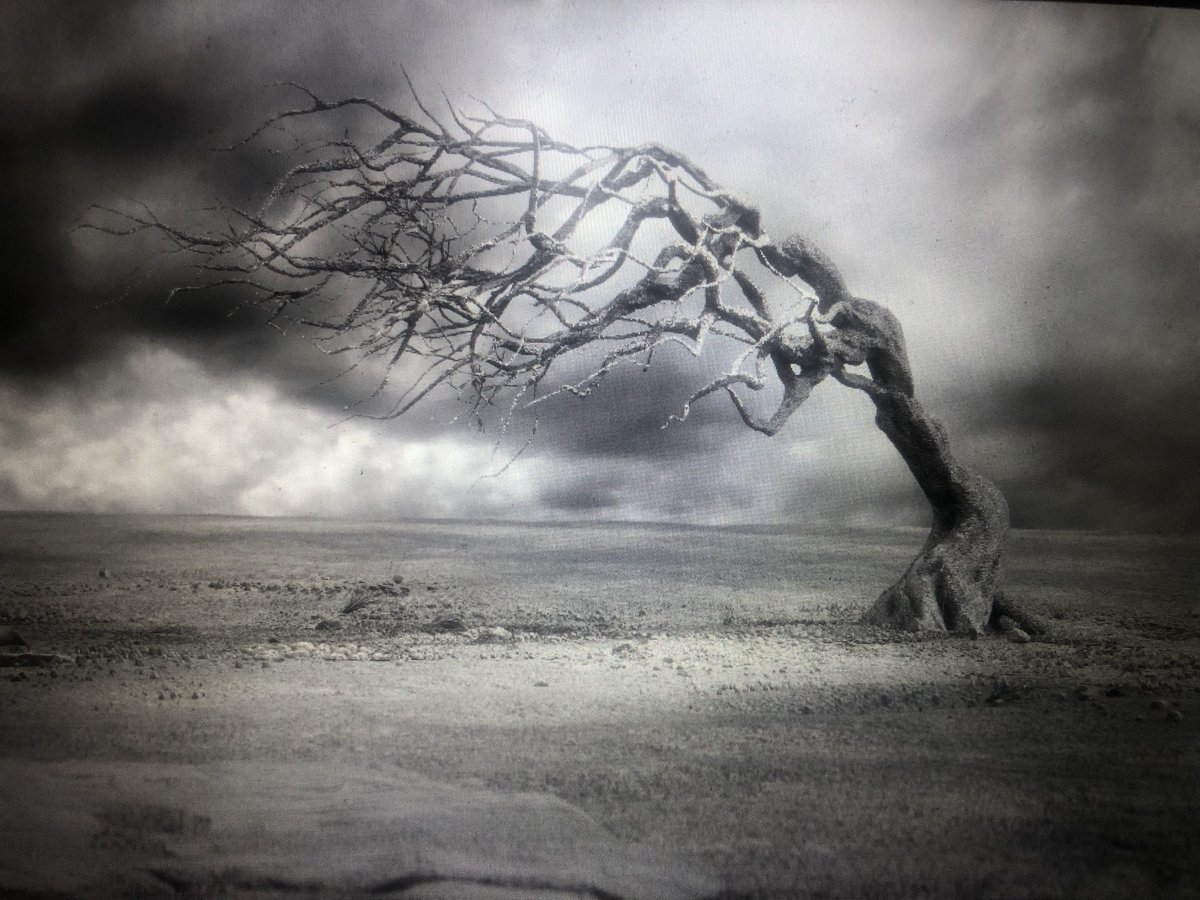 ALive est OUT dispo sur les plateformes!