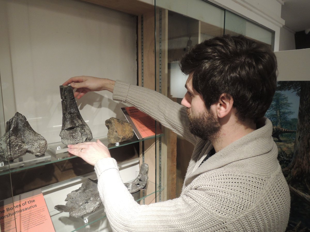Our exhibition - Discovering Dinosaurs - is proving very popular! Interested in how it was all put together? 🦕🦖 Find out as Assistant Curator George Graham-Payne reveals what happens behind the scenes when planning an exhibition! orlo.uk/FZ9gU #HorshamMuseum