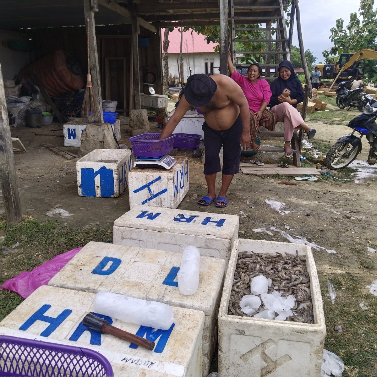 la_sampaga's tweet photo. Selasa, 25-2-2024
L. Tahir Sampaga, Luhkan Muna Penanganan pasca panen pokdakan Wiolo Jaya &amp; Akses pasar Udang  Vanamei, produksi 521 kg Size 75 harga @Rp45.000, -
#GiatSatminkalMaros
#Luhlapor @Produksi
#PuslatluhKP @Muna https://t.co/w1jzGQUzX9