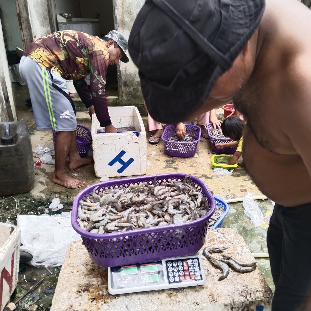 la_sampaga's tweet photo. Selasa, 25-2-2024
L. Tahir Sampaga, Luhkan Muna Penanganan pasca panen pokdakan Wiolo Jaya &amp; Akses pasar Udang  Vanamei, produksi 521 kg Size 75 harga @Rp45.000, -
#GiatSatminkalMaros
#Luhlapor @Produksi
#PuslatluhKP @Muna https://t.co/w1jzGQUzX9