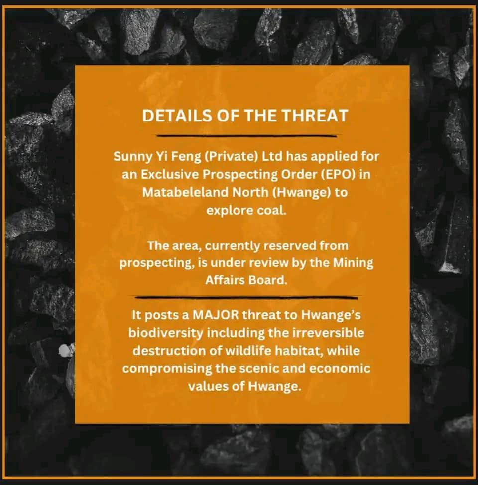 PTChimusoro's tweet photo. President @edmnangagwa please may the idea to mine coal in Hwange NP not live to see the light of the day. In years to come, Hwange will be pits, we will be left with these pits. 

The Chinese miners will just pack their bags and fly back to China with money in their pockets. https://t.co/cubPccX538