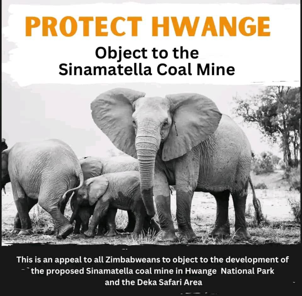 PTChimusoro's tweet photo. President @edmnangagwa please may the idea to mine coal in Hwange NP not live to see the light of the day. In years to come, Hwange will be pits, we will be left with these pits. 

The Chinese miners will just pack their bags and fly back to China with money in their pockets. https://t.co/cubPccX538