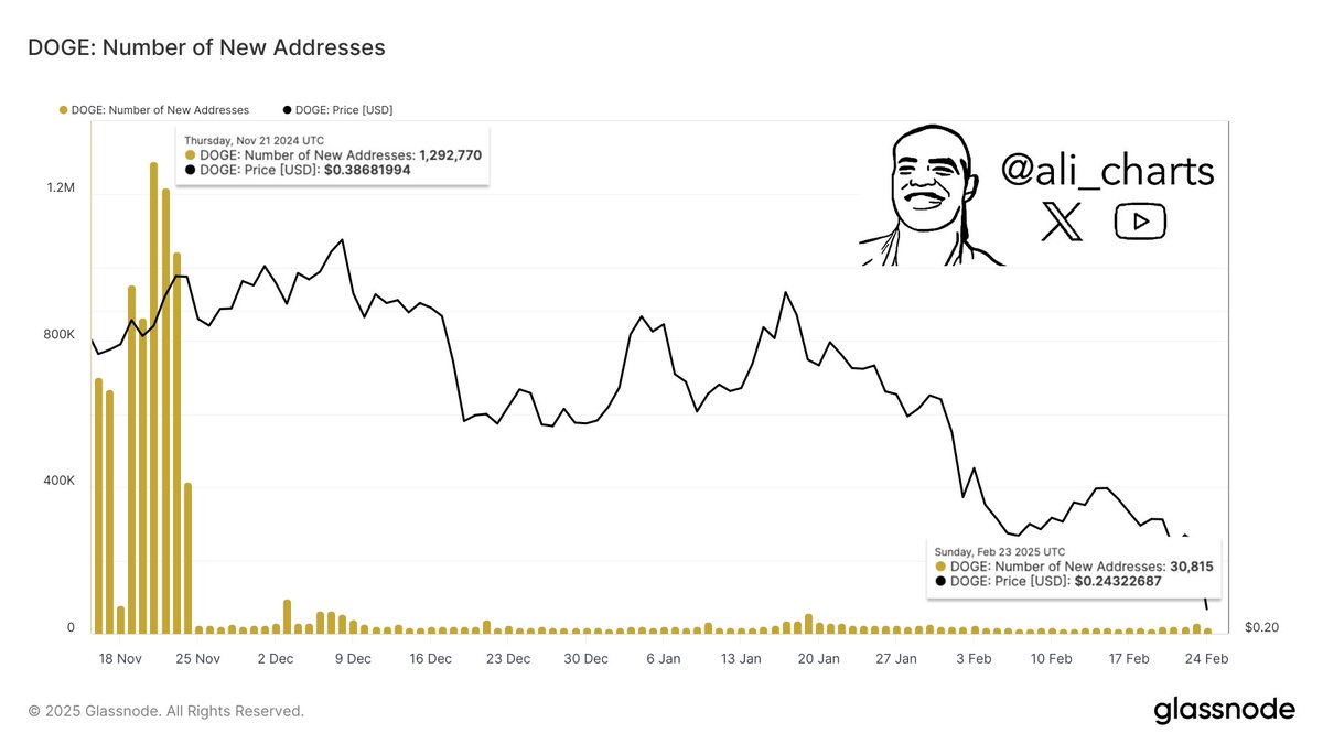 Dogecoin $DOGE network has significantly contracted, with new address  creation dropping from 1.29 million in November to just 30,815 today!