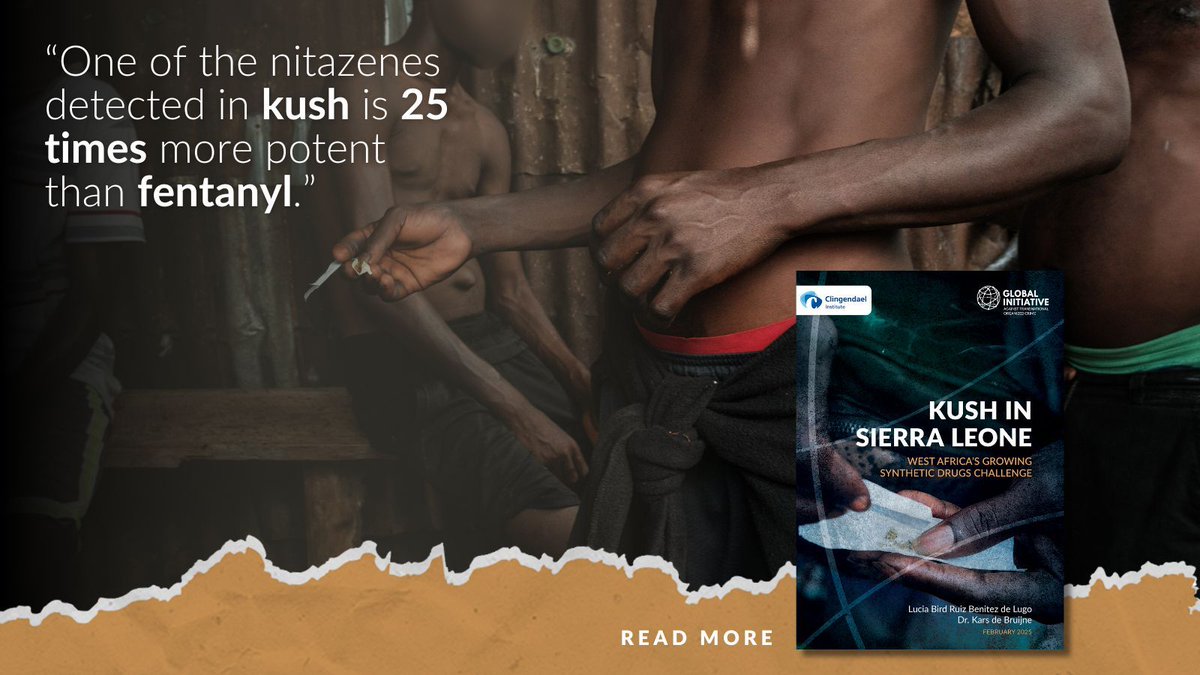 🚨 Kush, a synthetic drug with lethal consequences, is spreading rapidly in #WestAfrica.

Our latest report reveals its deadly composition, trafficking routes &amp; urgent recommendations to curb the crisis.

Read more:  buff.ly/3XiPqaZ

<a href="/Lucia_Bird_Ruiz/">lucia</a> | <a href="/Clingendaelorg/">Clingendael Institute</a>