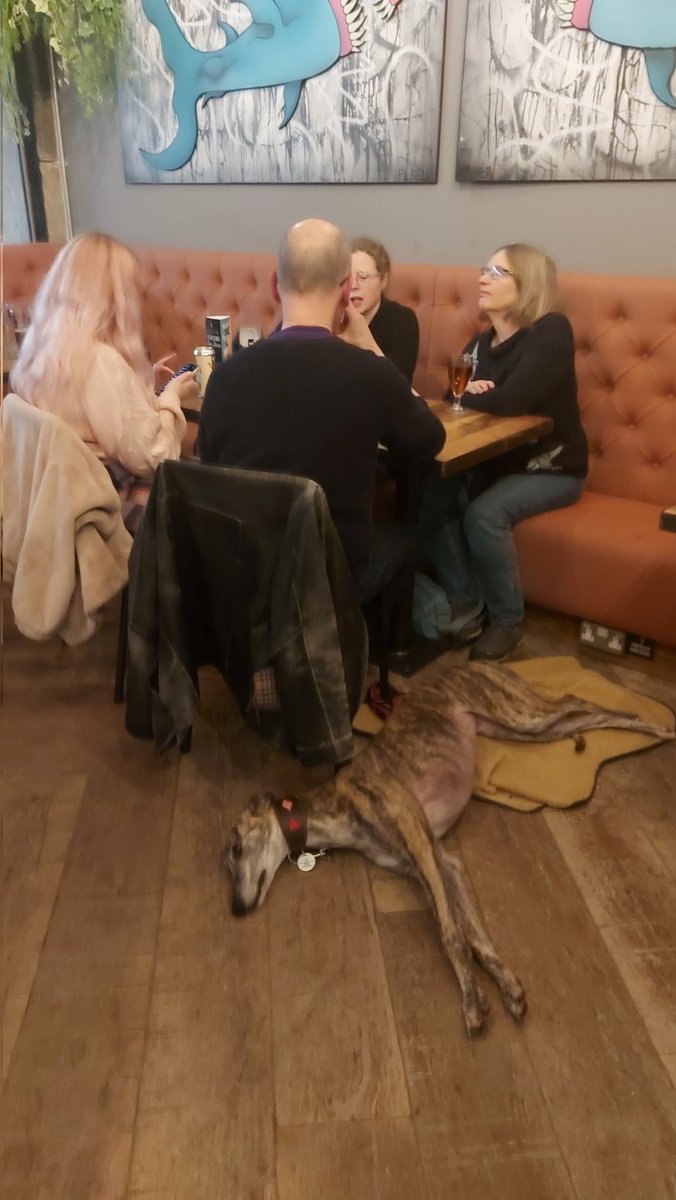 CompleatQuizExe's tweet photo. Come and lounge like this greyhound with us tonight at Brewdog Exeter as we ponder all things Film &amp; Music. Only £2 entry and there is a £30 bar tab on offer  for the champions. See you there 😁 https://t.co/ZH42ulI4zz