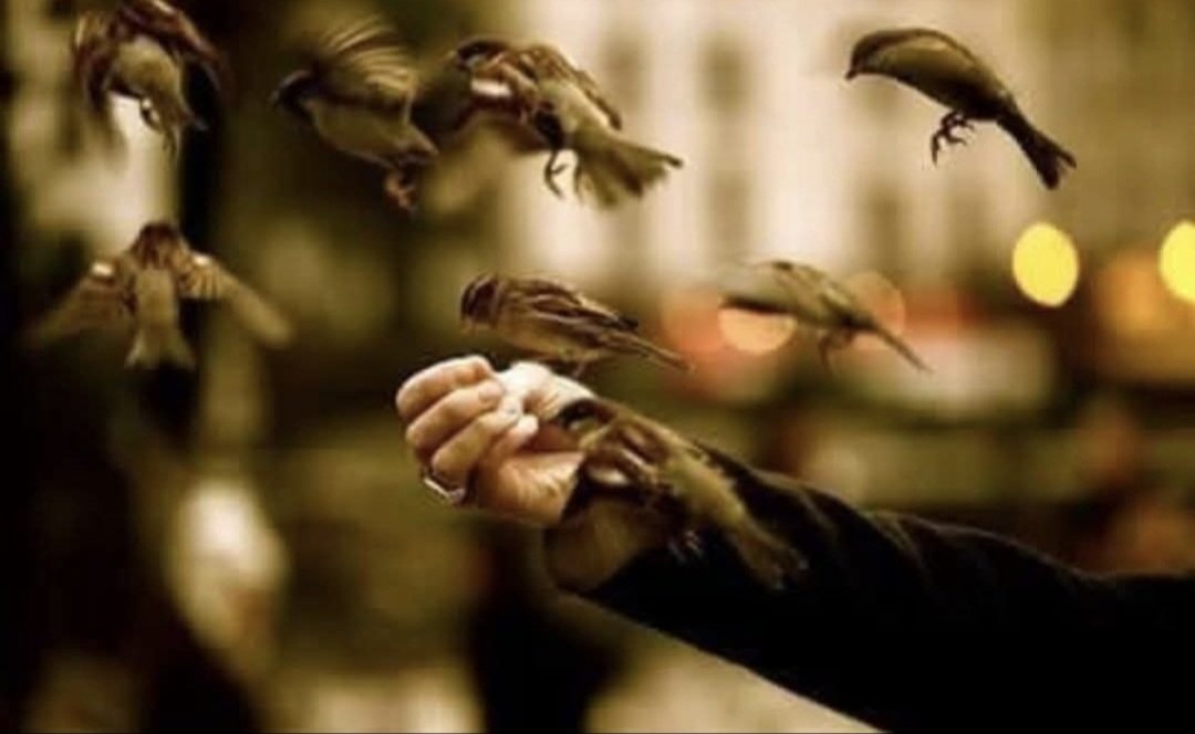 میں جانتا ہوں کہاں  تک اڑان ہے ان کی
یہ میرے ہاتھ سے نکلے ہوئے پرندے ہیں

عمران عامی