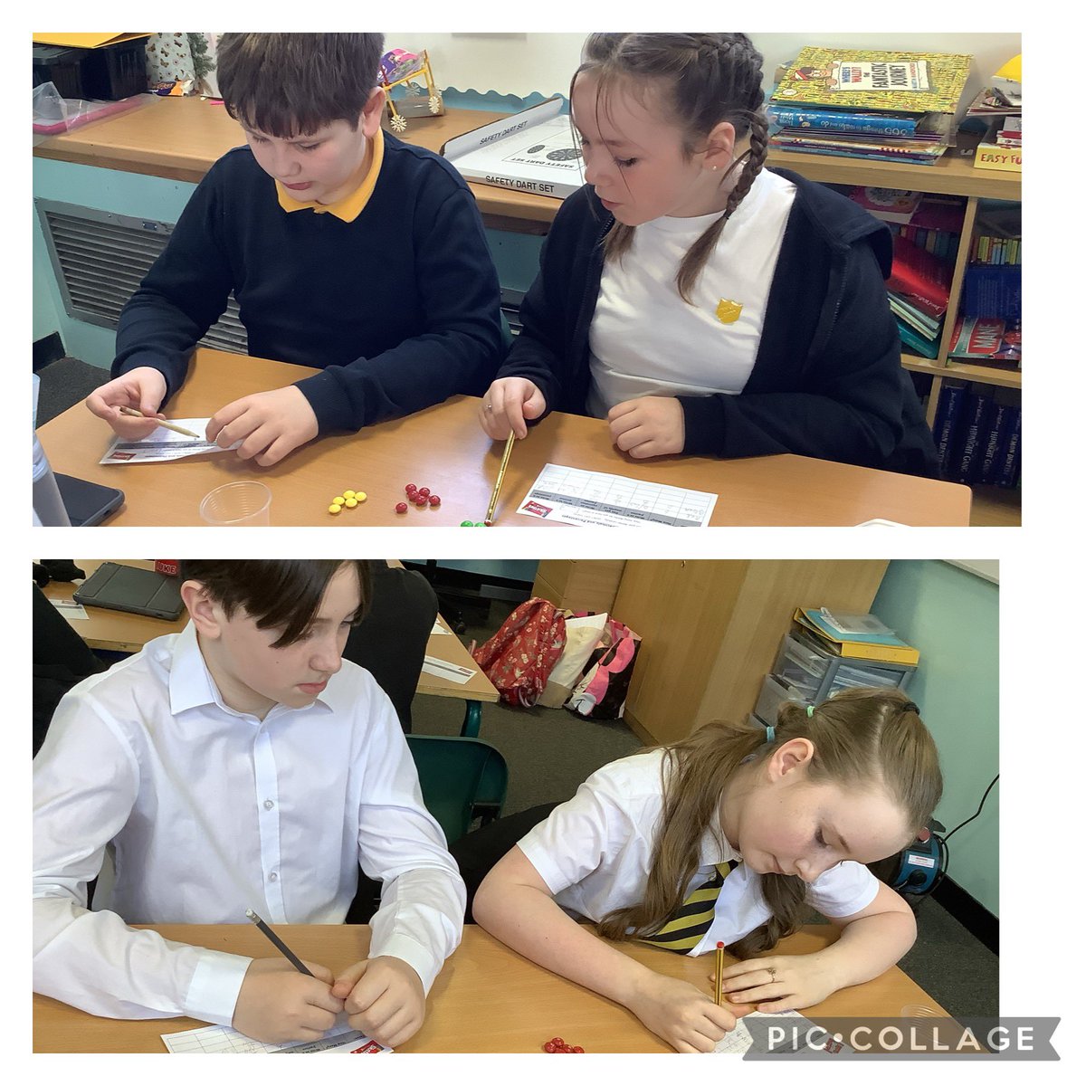 P7C Kinneil PS (@mrscassidykps) on Twitter photo Today we used the different coloured sweets to calculate percentages, decimals and fractions of a number. We started with 20 sweets then increased to 25 sweets to see how our conversions changed. <a href="/Kinneil_PS/">Kinneil Primary & EYC</a> Today we used the different coloured sweets to calculate percentages, decimals and fractions of a number. We started with 20 sweets then increased to 25 sweets to see how our conversions changed. <a href="/Kinneil_PS/">Kinneil Primary & EYC</a>
