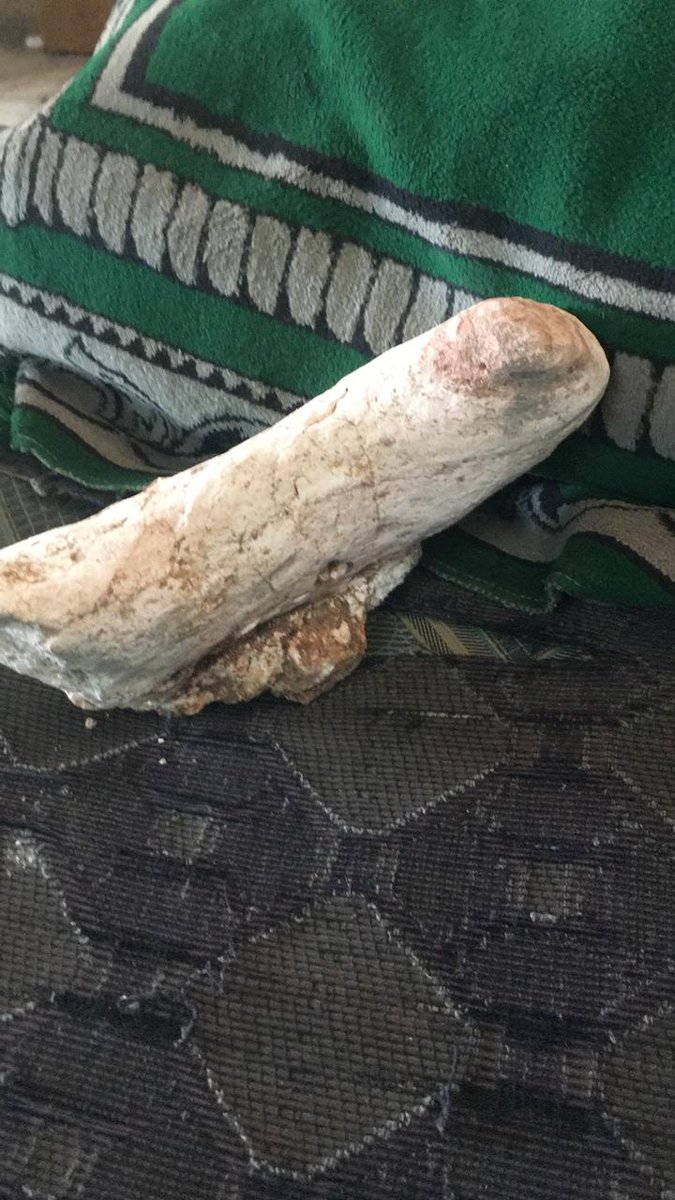 Google Booking (@bookinggoogle) on Twitter photo 