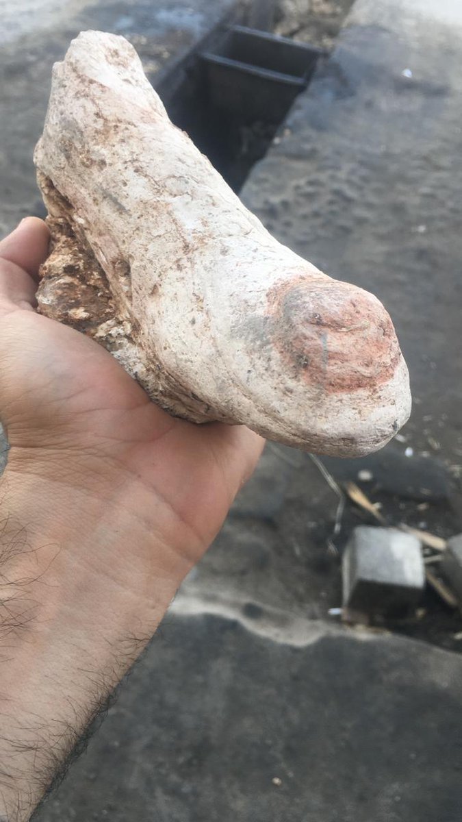 Google Booking (@bookinggoogle) on Twitter photo 