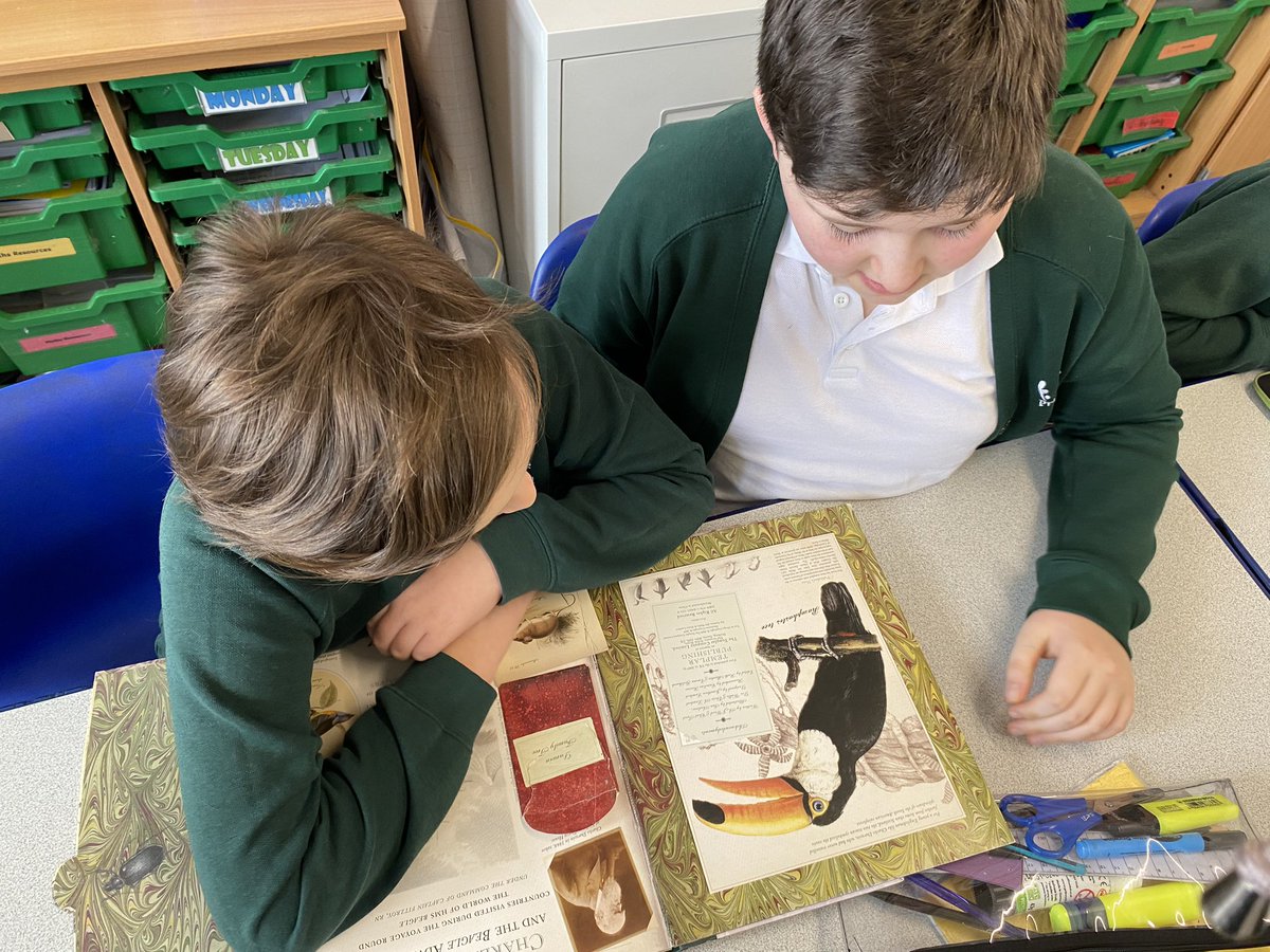 Year5@fossdene tweet media