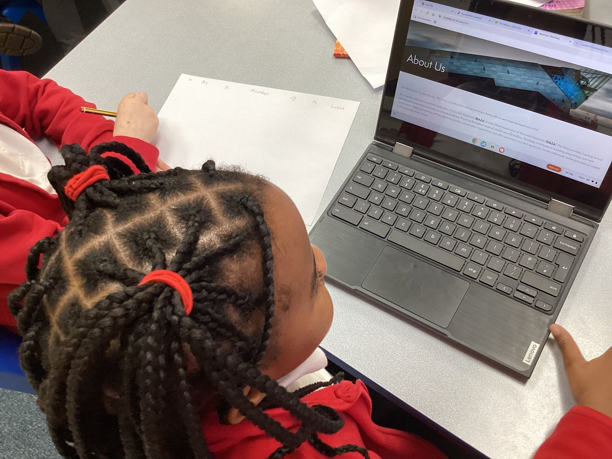 MarfleetPrimary's tweet photo. Year 3 are using the chrome books this morning to find out information about attractions in Hull to include in our persuasive text about visiting Hull! https://t.co/b7joFfKhwT