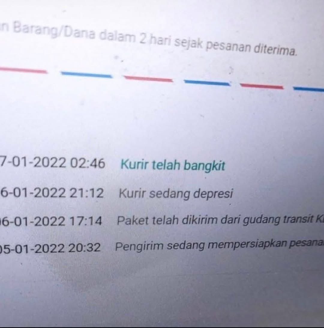 qrivasi's tweet image. 