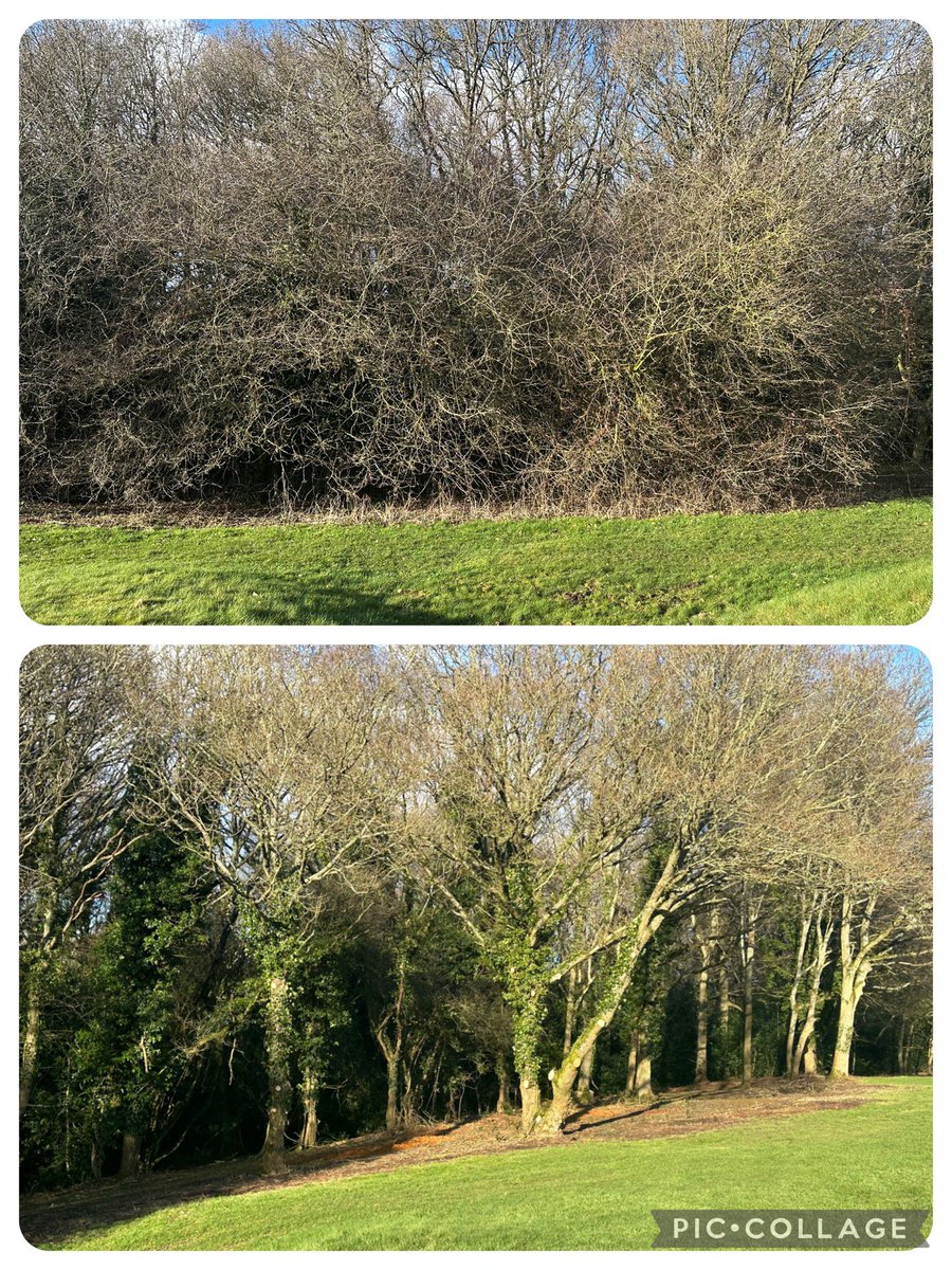 Beaconsfield Golf Club tweet media