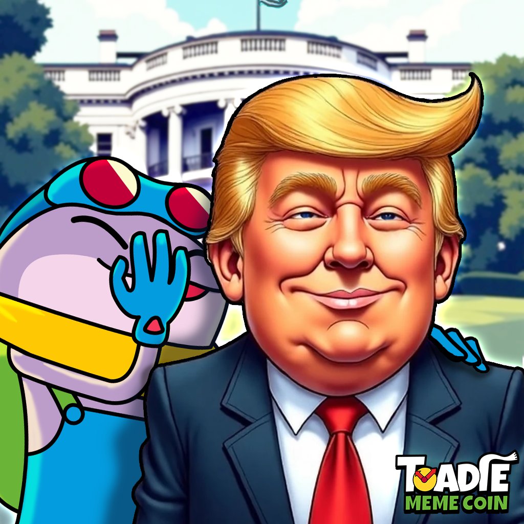 Toadie.co 🐸 tweet media