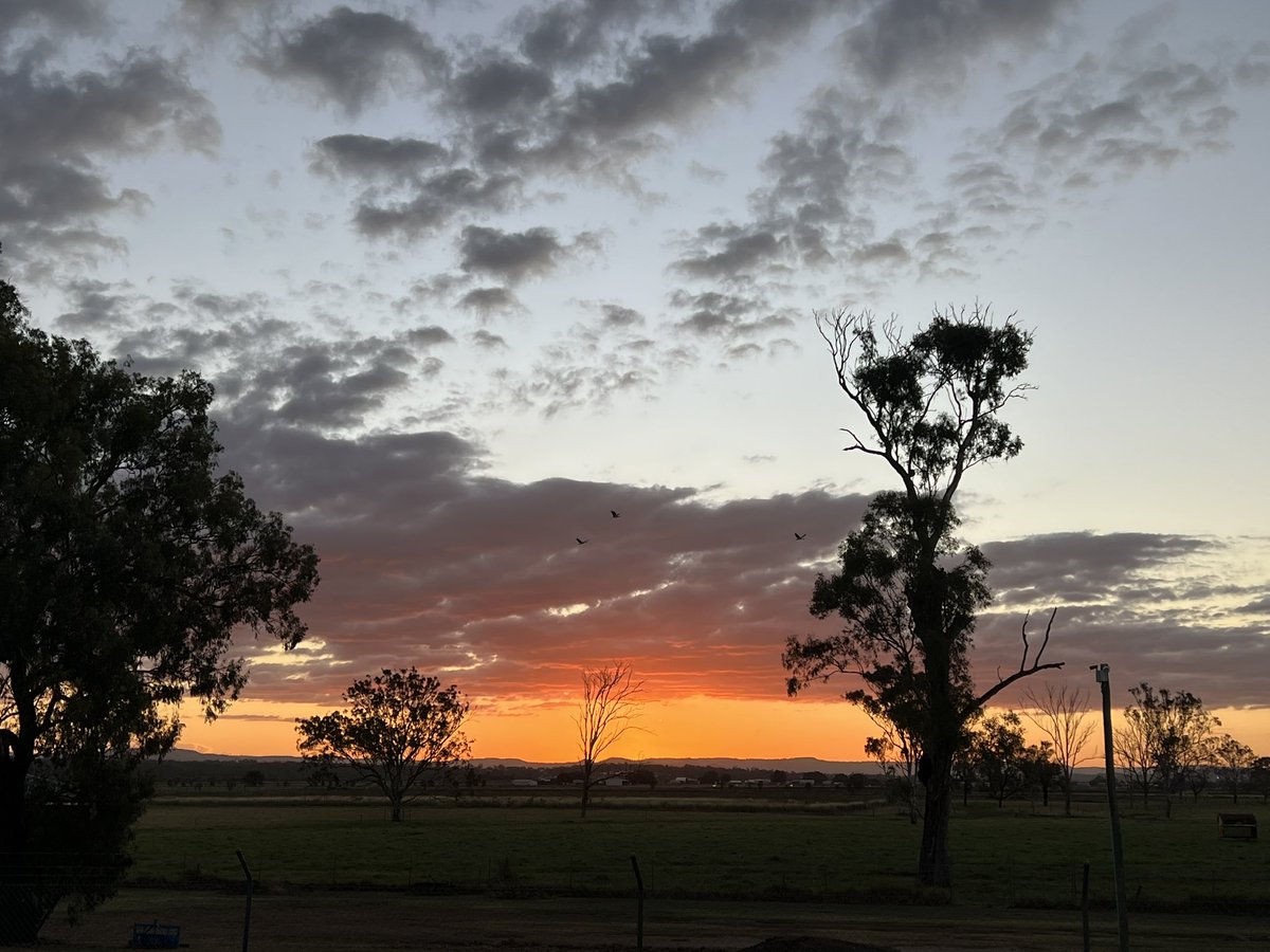 roopooify's tweet photo. Very proud to be invited as a guest to UQ GATTON MARKET DAY to launch our QLD/NT STUDENT COMPENDIUM. 🌱 

Lots of interested and engaging students! 

The hot day finished off with a beautiful sunset 🌅 

Thank you to #UQASS and @UQUnion for the support 

@AgInstituteAus https://t.co/HXFMHI1h3v
