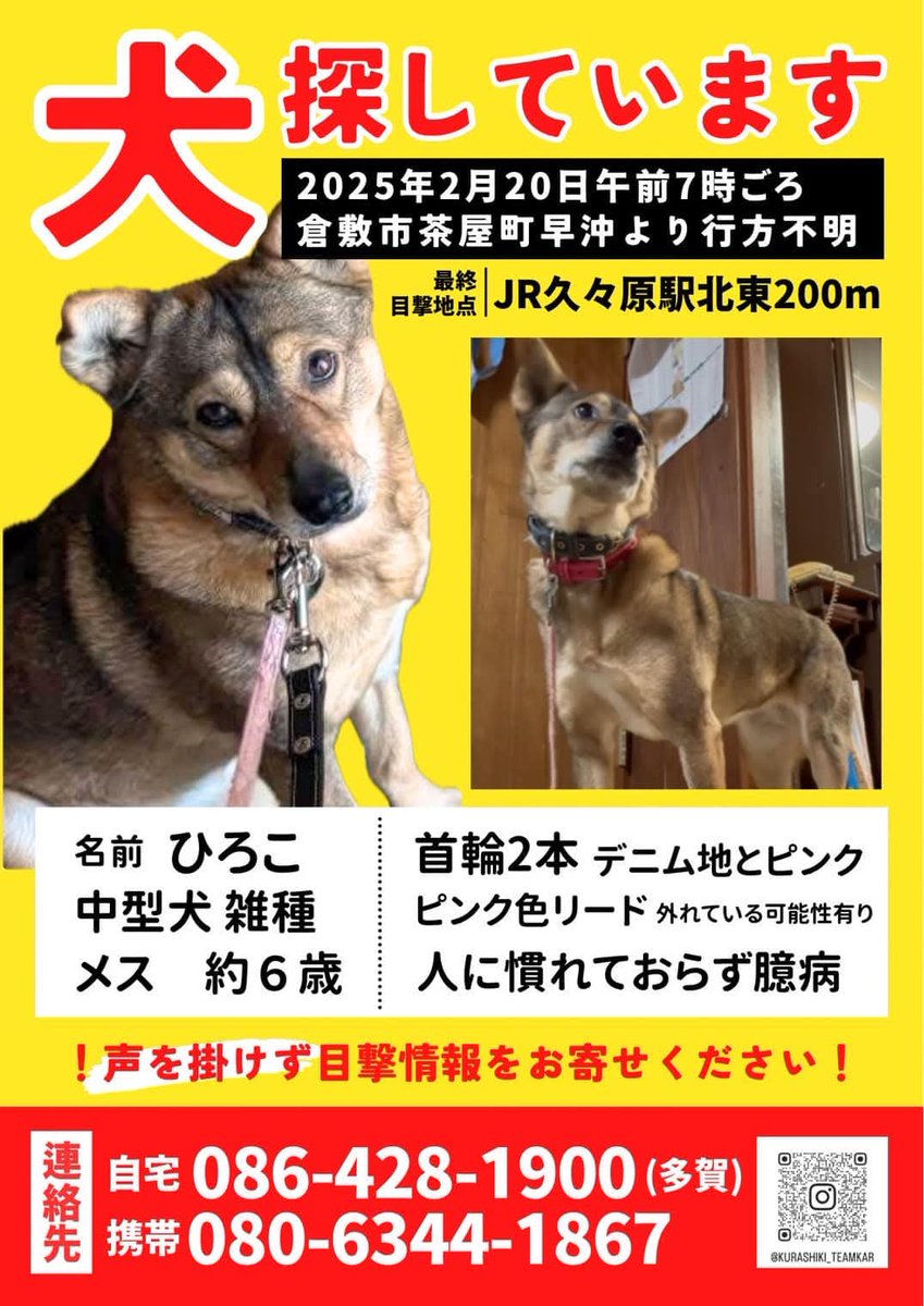 0OnwZpBitmo8HSq's tweet photo. https://t.co/OQ1mPCytIB