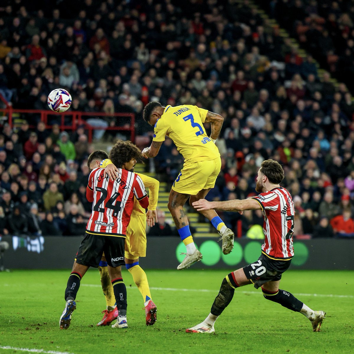 LUFC's tweet image. Them: “Have you seen a 🐐 fly?”

Us: “Yes!”